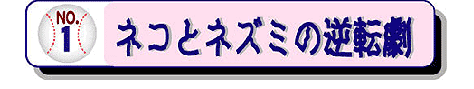 PDlRƃlY~̋t]
