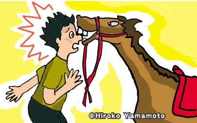 馬は怒り、口を開けT君のの鼻と顎にかぶりつく