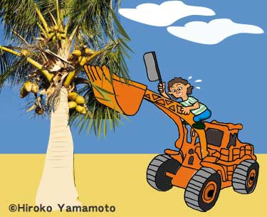 ショベルカーを使ってココナッツを取る
