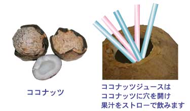 ココナッツに穴を開けジュースを飲む