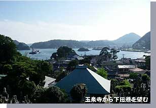 玉泉寺から下田港を望む