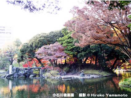 小石川後楽園 写真